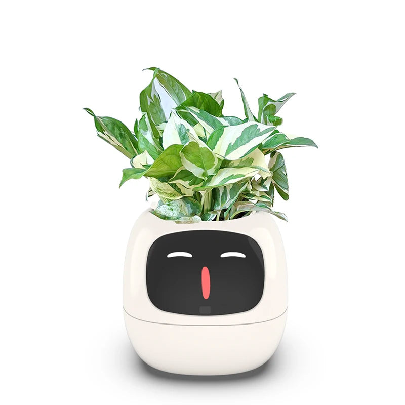 Smart Small Flower Pot ViralGalleria.com