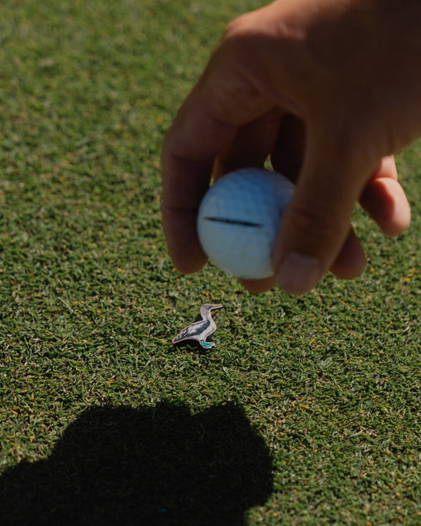 Ball Marker | BFB MANTRA