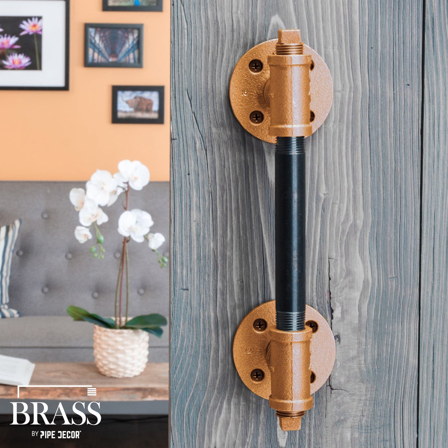 1/2 in. Red Brass Plug PIPE DECOR