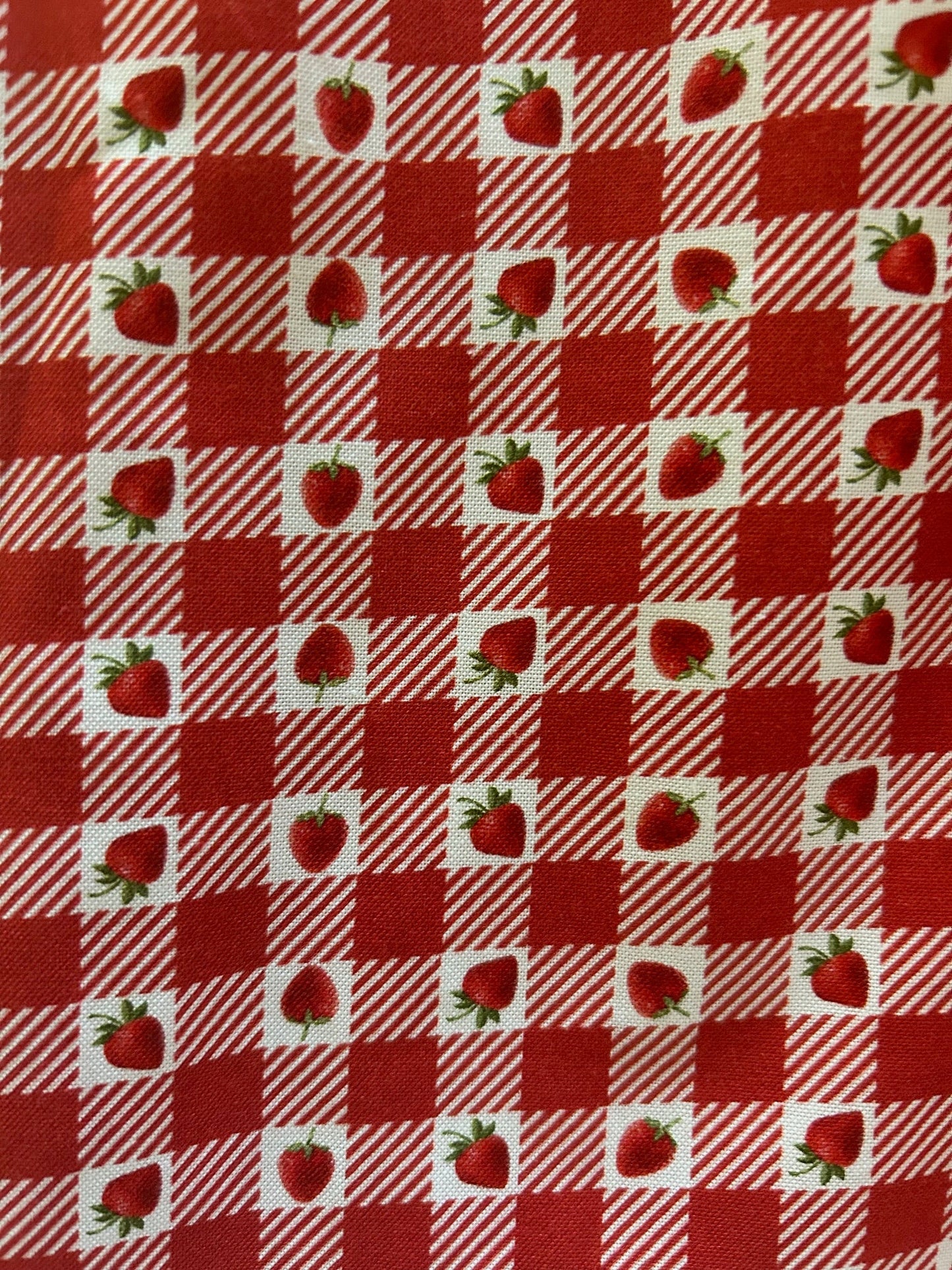 Strawberry Gingham Collared Dress Retrolicious