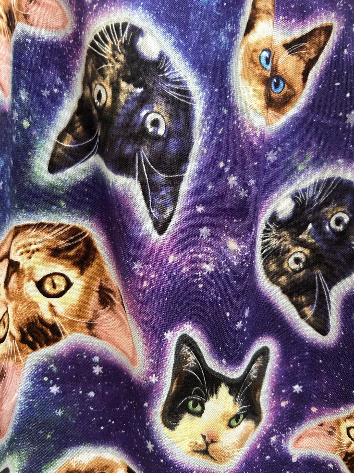 Galaxy Cats Shorter Length Fit & Flare Dress - Small Only Retrolicious