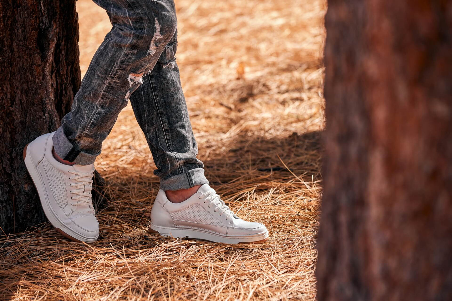 CALTO - Y7932 - 2.6 Inches Taller (White/Off-White & Gum Sole) - Elevated Micro-Perforated Leather Sneakers Tallmenshoes.com