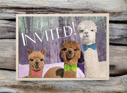 Alpaca Greeting Card - You're Invited Purely Alpaca