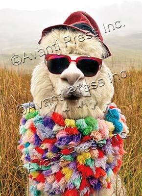 Avanti Alpaca Greeting Card - Fedora Dude Birthday Purely Alpaca