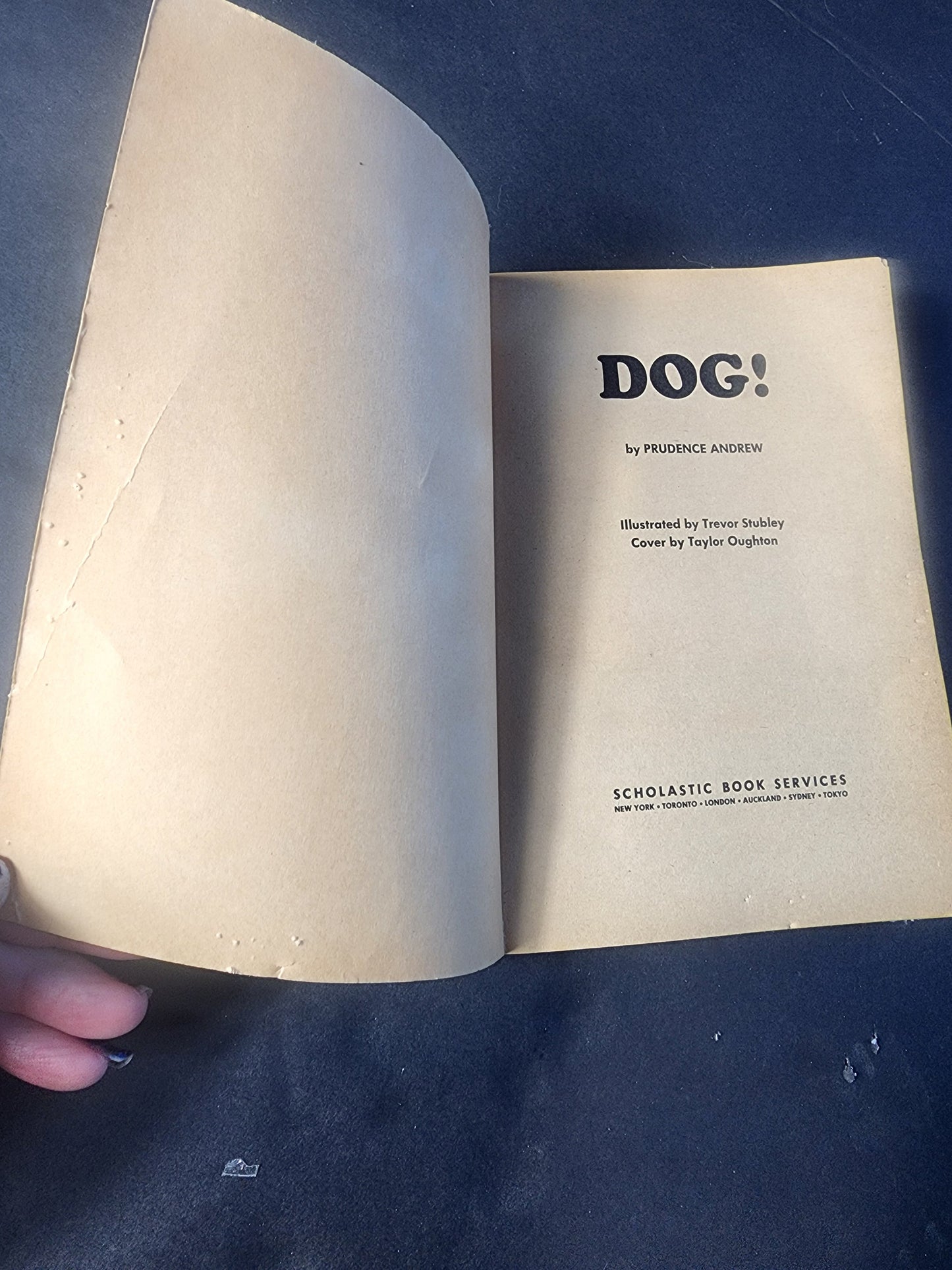Vintage Children's Book: Dog! by Prudence Andrew (1973) Tennessee Junk Trunk