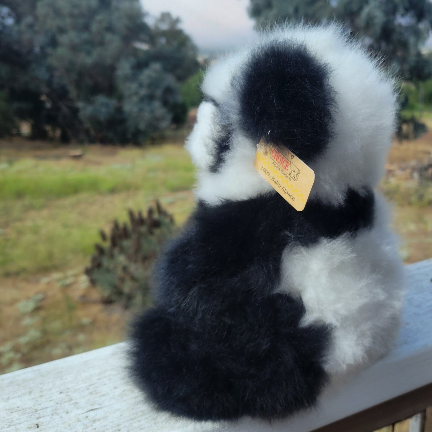 10" Seated Alpaca Panda Bear Purely Alpaca