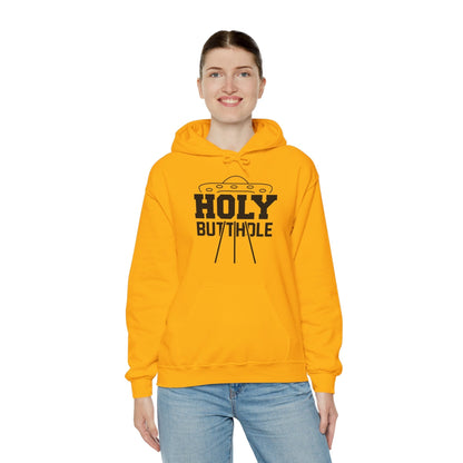 Holy Butthole Hooded Sweatshirt The Devil's Pickle