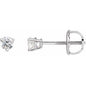 14K White 1/8 CTW Natural Diamond Earrings Ethereal Legacy Boutiques