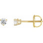 14K Yellow .03 CTW Natural Diamond Earrings Ethereal Legacy Boutiques
