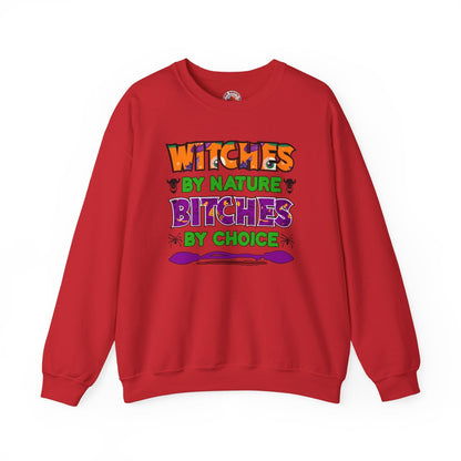 Witches By Nature Bitches By Choice Crewneck Sweatshirt The Devil's Pickle