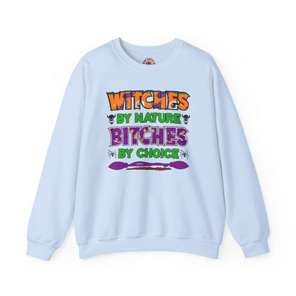 Witches By Nature Bitches By Choice Crewneck Sweatshirt The Devil's Pickle