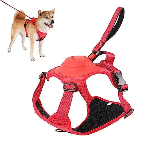 Dog Harness and Automatic Retractable Leash Kit ViralGalleria.com