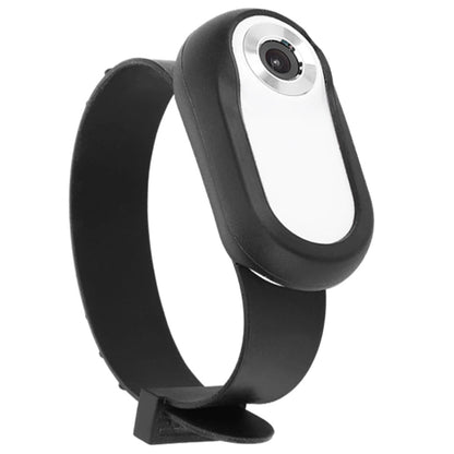 Camera Collar for Cats & Dogs ViralGalleria.com