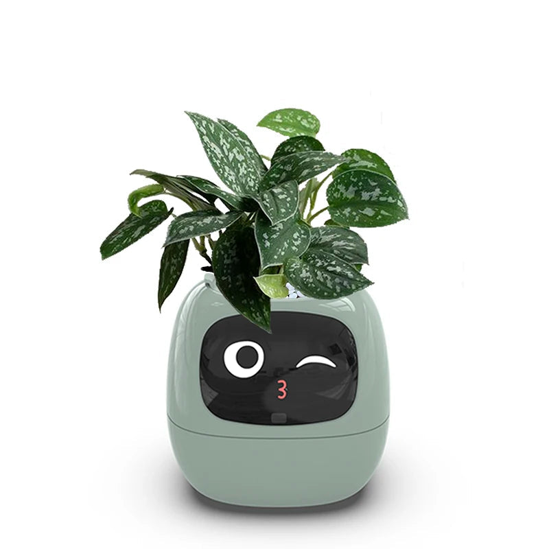 Smart Small Flower Pot ViralGalleria.com