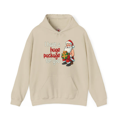 I Have A Huge Package For You Hooded Sweatshirt