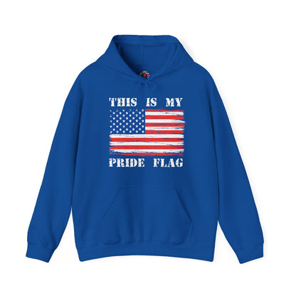 This Is My Pride Flag Hooded Sweatshirt The Devil's Pickle
