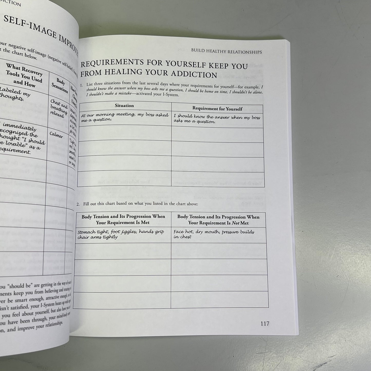 MIND-BODY WORKBOOK FOR ADDICTION Effective Tools Substance Abuse Recovery Book PayWut
