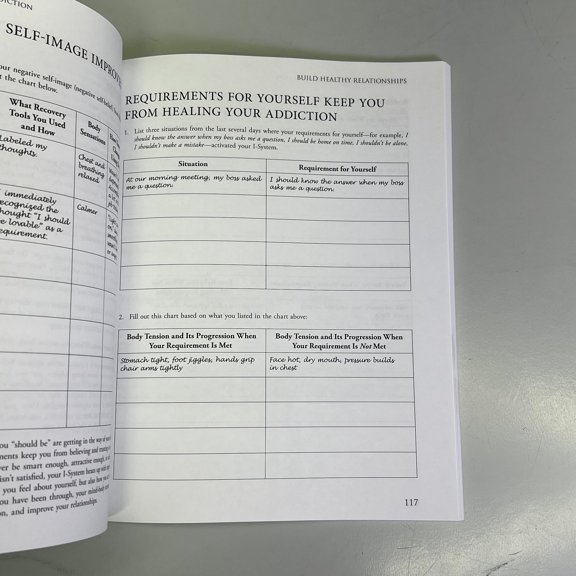 MIND-BODY WORKBOOK FOR ADDICTION Effective Tools Substance Abuse Recovery Book PayWut