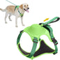 Dog Harness and Automatic Retractable Leash Kit ViralGalleria.com