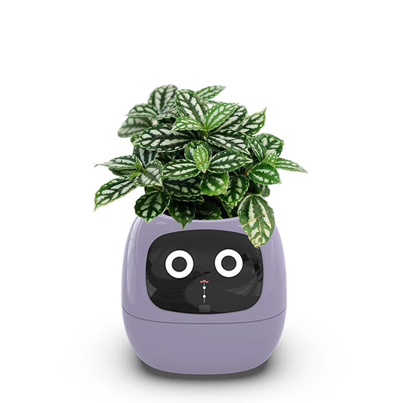 Smart Small Flower Pot ViralGalleria.com