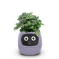 Smart Small Flower Pot ViralGalleria.com