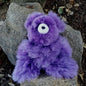 12" Alpaca Teddy Bears Purely Alpaca