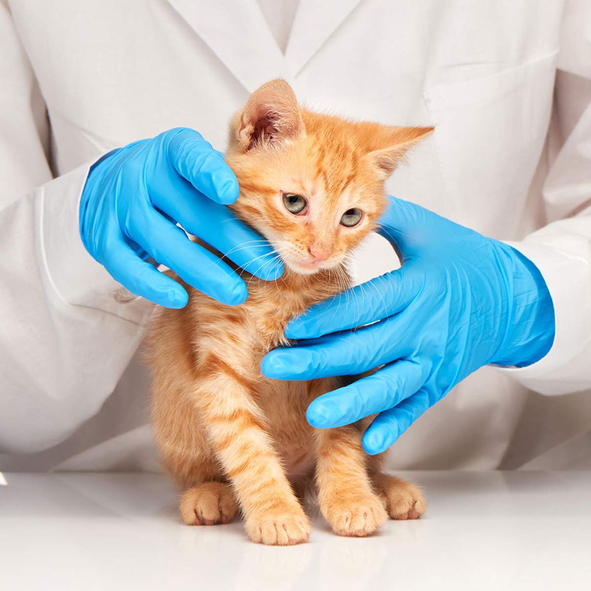 Gloves, Nitrile Medium - 100 per box quakekits.com