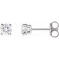 14K White 1/2 CTW Lab-Grown Diamond Earrings Ethereal Legacy Boutiques