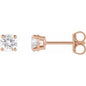 14K Rose 1/2 CTW Lab-Grown Diamond Earrings Ethereal Legacy Boutiques