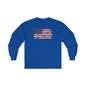 Vintage Style American Flag Long Sleeve Tee The Devil's Pickle
