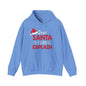 Dear Santa I Can Explain Hooded Sweatshirt