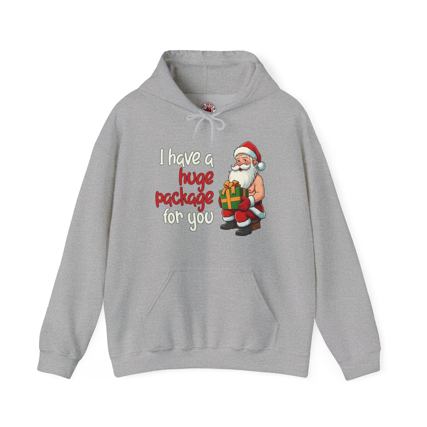 I Have A Huge Package For You Hooded Sweatshirt