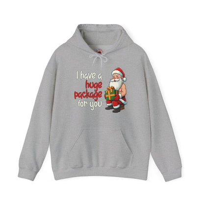 I Have A Huge Package For You Hooded Sweatshirt