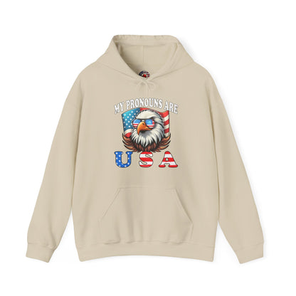 My Pronouns Are U.S.A Hooded Sweatshirt The Devil's Pickle