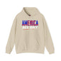 America All Day Hooded Sweatshirt The Devil's Pickle