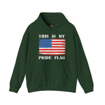 This Is My Pride Flag Hooded Sweatshirt The Devil's Pickle
