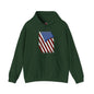Distressed American Flag Hooded Sweatshirt The Devil's Pickle