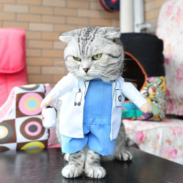 Funny Pets Costum ViralGalleria.com