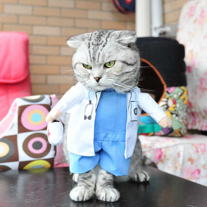 Funny Pets Costum ViralGalleria.com