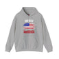 God Bless America Hooded Sweatshirt The Devil's Pickle