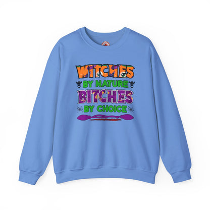 Witches By Nature Bitches By Choice Crewneck Sweatshirt The Devil's Pickle