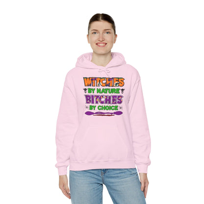 Witches By Nature Bitches By Choice Hooded Sweatshirt The Devil's Pickle