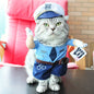 Funny Pets Costum ViralGalleria.com