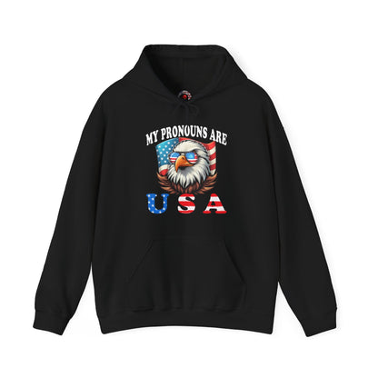 My Pronouns Are U.S.A Hooded Sweatshirt The Devil's Pickle