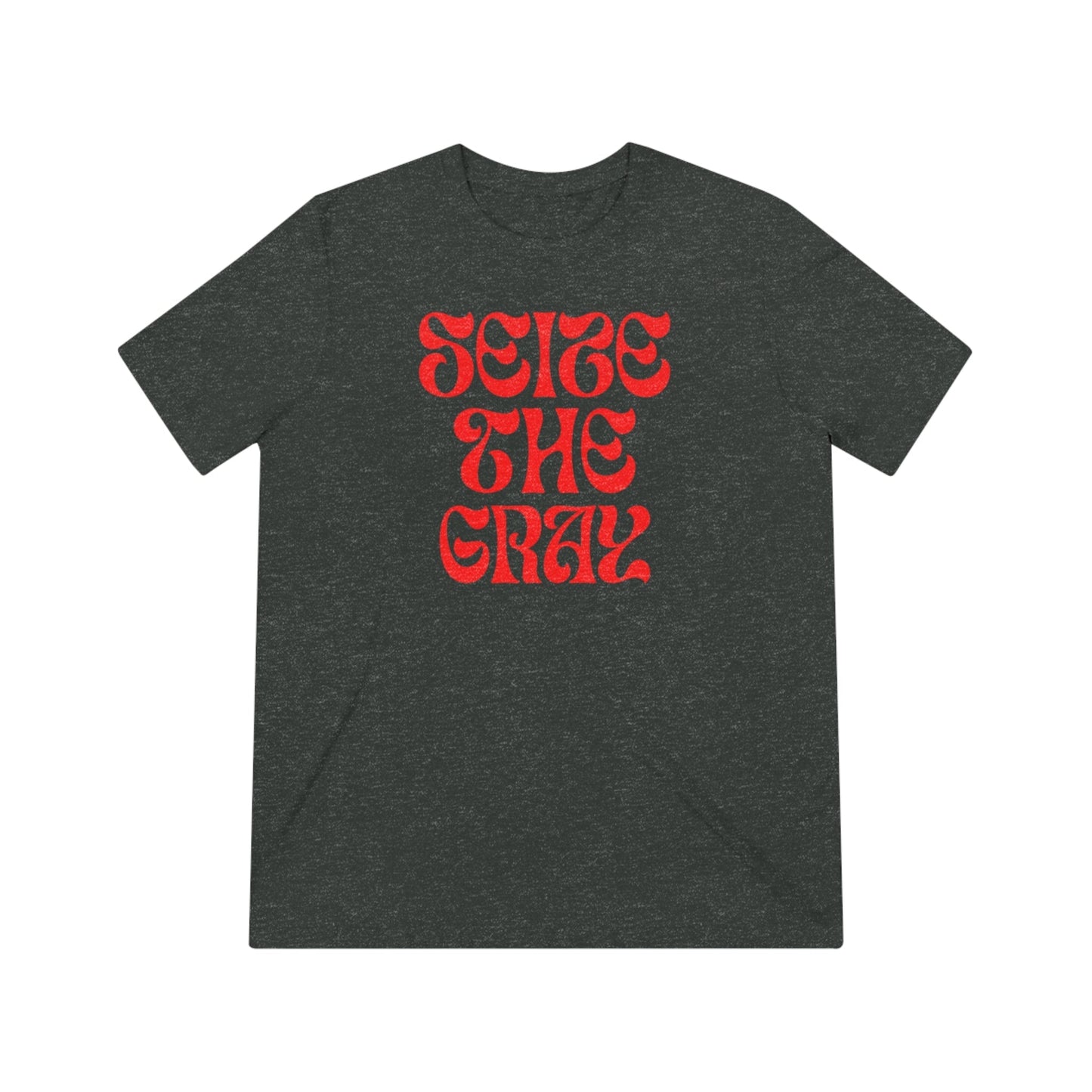 Unisex Triblend Tee "Seize the gray" Grayceful LLC