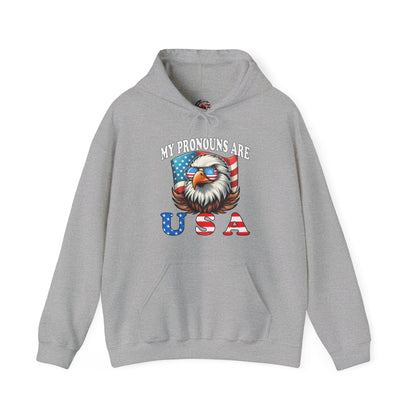 My Pronouns Are U.S.A Hooded Sweatshirt The Devil's Pickle
