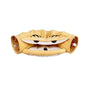 Pet Cats Tunnel Toy Interactive Play Toy ViralGalleria.com