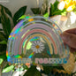 Sun Catcher PVC Self Adhesive Glass Window Stickers ViralGalleria.com