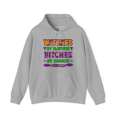 Witches By Nature Bitches By Choice Hooded Sweatshirt The Devil's Pickle