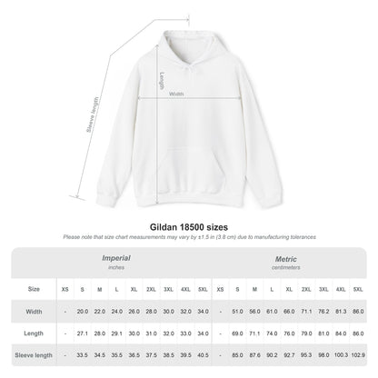Butterfly Graphic Unisex Hoodie, Cozy Sweatshirt for Nature Lovers, Perfect Gift for Her, Birthday, Casual Wear, Spring Fashion Grayceful LLC